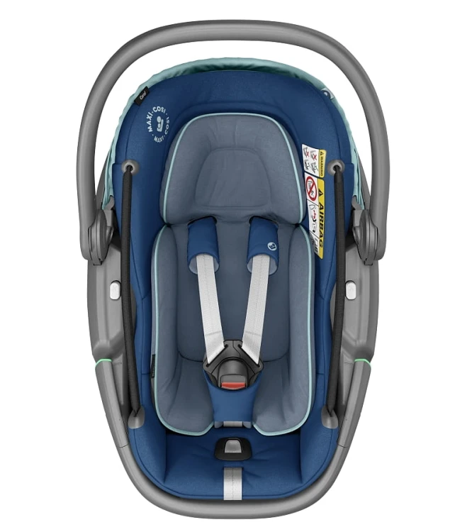 Coral essentiale blue 2.jpg