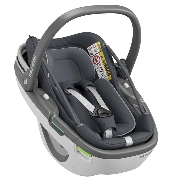 Coral essentiale graphite 1.jpg