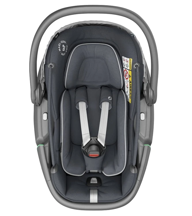 Coral essentiale graphite 2.jpg