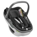 Coral essentiale black 1.jpg