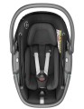 Coral essentiale black 2.jpg