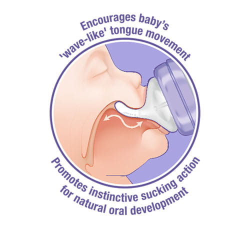 Teat-OralDevelopment-1.jpg