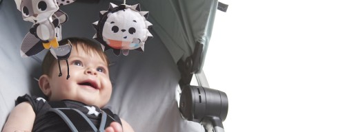 tam-1920x740-4.jpg