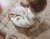 pol_pm_Spiworek-do-spania-KIDS-18-36m-1793_4.jpg