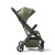 X-RAY_MISTY_OLIVE_3__59066.jpg