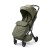 X-RAY_MISTY_OLIVE_5__31089.jpg