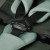 2328_U78_akira_botanic_10.jpg