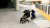 BABY_JOGGER_BBJ_CITY_TOUR_2_Pitch_Black_Calf_Support_Lifestyle_245.jpeg