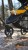 BABY_JOGGER_BBJ_CITY-MINI-GT2-NA KAZDY TEREN.jpg