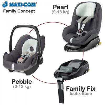 MCFAMILYFIX7.jpg
