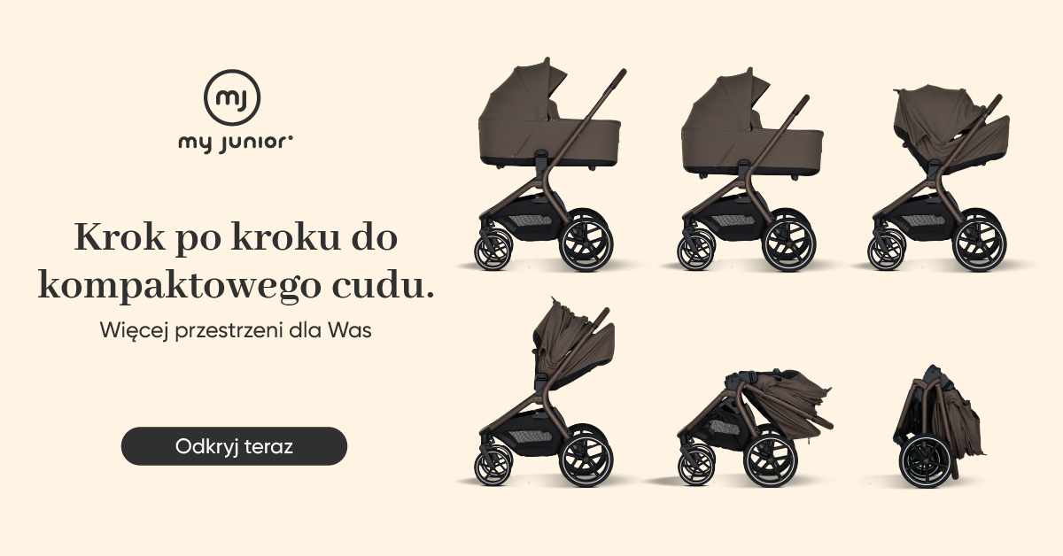 baner-prezentujący-wszystkie-funkcje-wózka